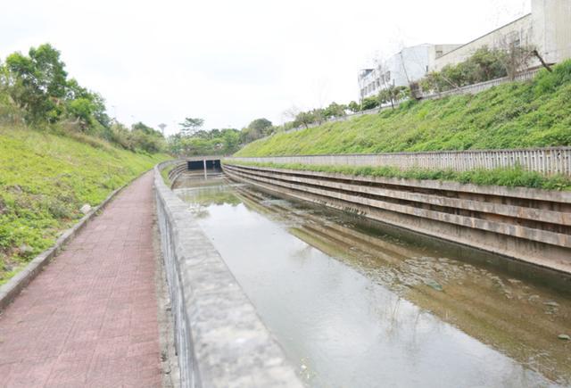 堅決打贏水污染治理攻堅戰(zhàn) 還龍崗居民一片水清岸綠
