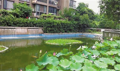 住宅小區景觀水體污染原因分析與防治對策探討